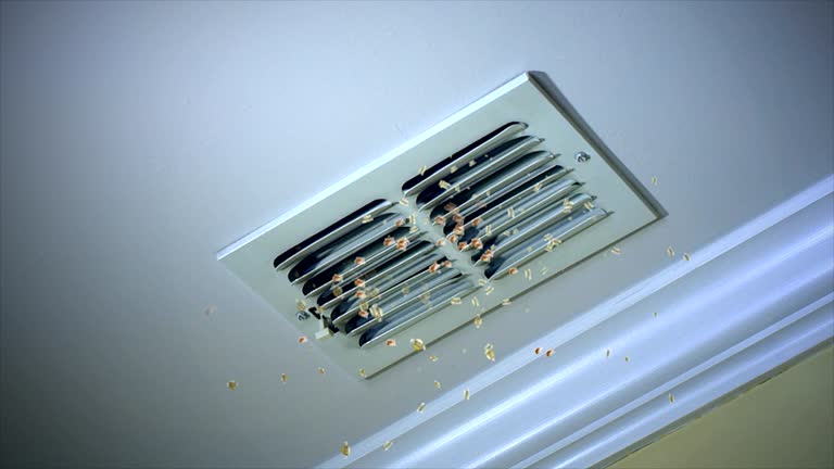 Best Ductwork Cleaning Services  in Caldwell, NJ